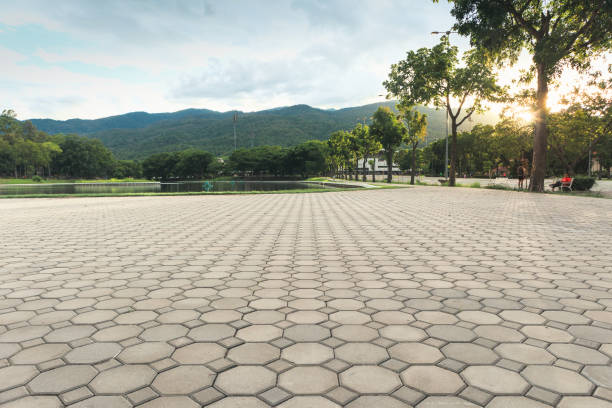 Best Driveway Pavers Near Me  in Mesa Del Caballo, AZ