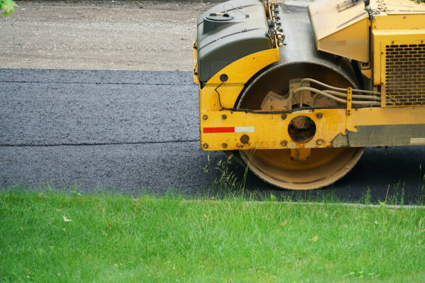 Best Residential Driveway Paver Services  in Mesa Del Caballo, AZ
